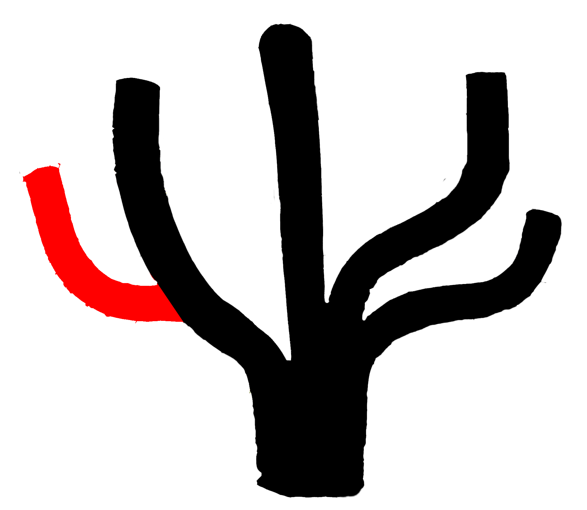 Cetacis odontocets